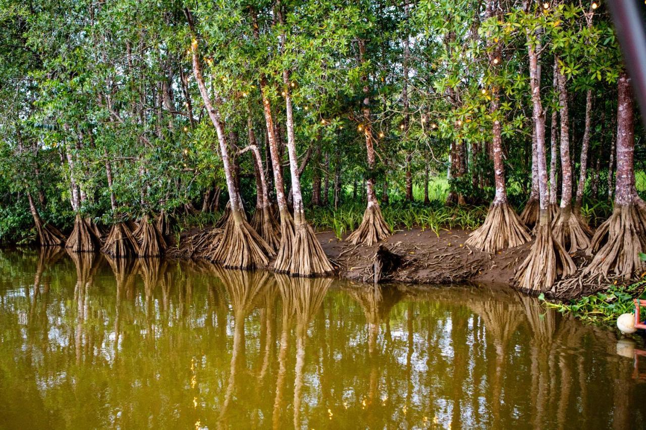 فندق Oso De Osa Sierpe المظهر الخارجي الصورة